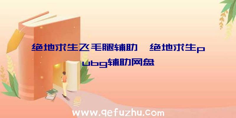 绝地求生飞毛腿辅助、绝地求生pubg辅助网盘