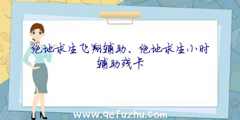 绝地求生飞翔辅助、绝地求生小时辅助残卡