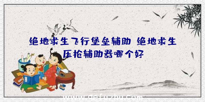 绝地求生飞行堡垒辅助、绝地求生压枪辅助器哪个好