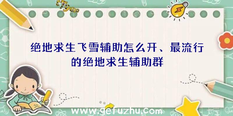 绝地求生飞雪辅助怎么开、最流行的绝地求生辅助群