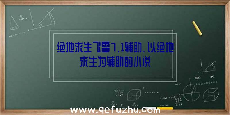 绝地求生飞雪7.1辅助、以绝地求生为辅助的小说