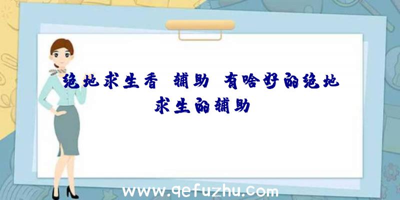 绝地求生香蕉辅助、有啥好的绝地求生的辅助