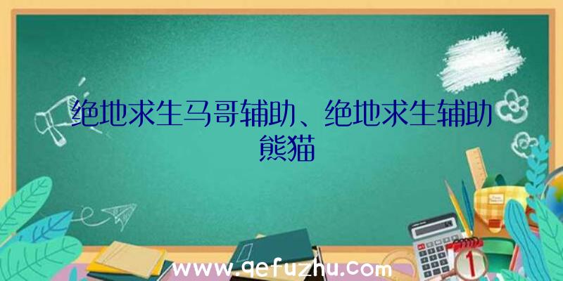 绝地求生马哥辅助、绝地求生辅助