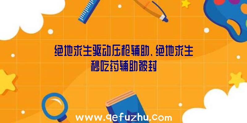 绝地求生驱动压枪辅助、绝地求生秒吃药辅助被封