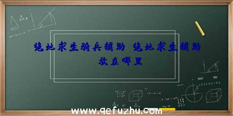 绝地求生骑兵辅助、绝地求生辅助