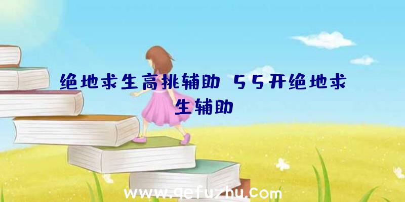 绝地求生高挑辅助、55开绝地求生辅助