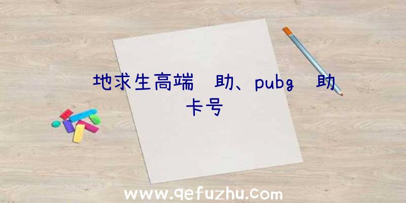 绝地求生高端辅助、pubg辅助卡号