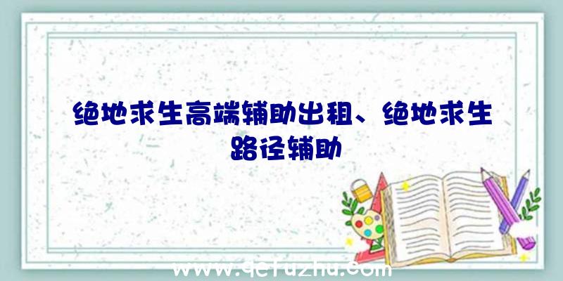 绝地求生高端辅助出租、绝地求生