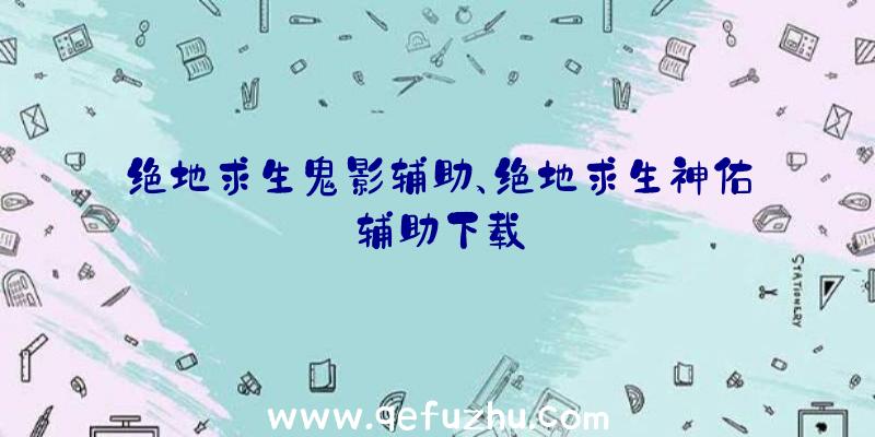 绝地求生鬼影辅助、绝地求生神佑辅助下载