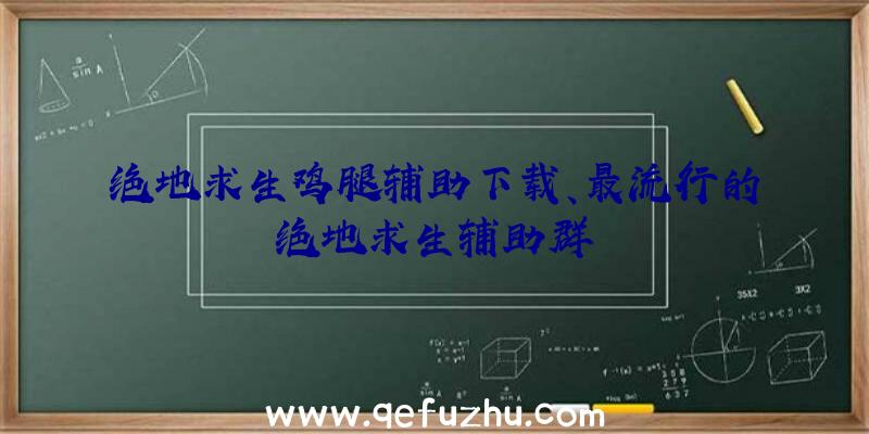 绝地求生鸡腿辅助下载、最流行的绝地求生辅助群