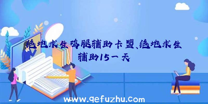 绝地求生鸡腿辅助卡盟、绝地求生辅助15一天