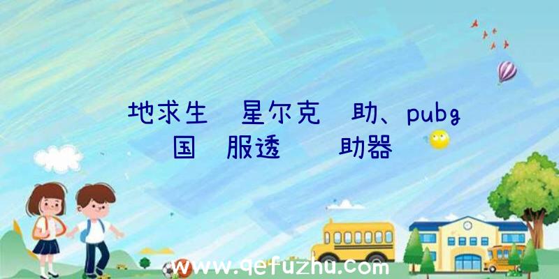 绝地求生鸿星尔克辅助、pubg国际服透视辅助器