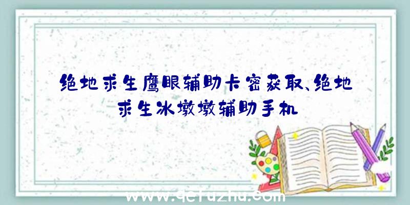 绝地求生鹰眼辅助卡密获取、绝地求生冰墩墩辅助手机