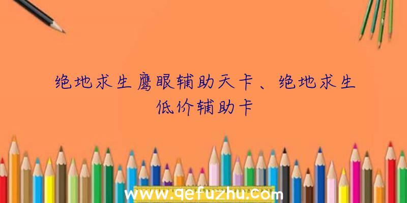 绝地求生鹰眼辅助天卡、绝地求生低价辅助卡