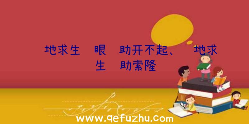 绝地求生鹰眼辅助开不起、绝地求生辅助索隆