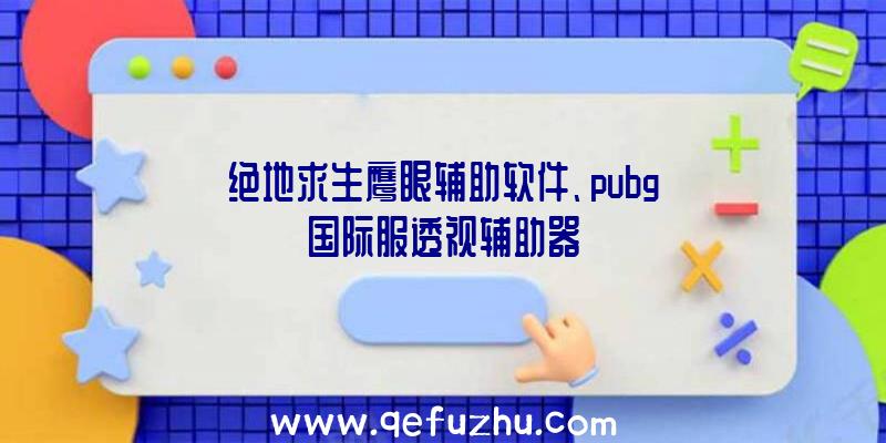 绝地求生鹰眼辅助软件、pubg国际服透视辅助器