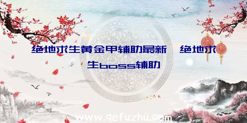 绝地求生黄金甲辅助最新、绝地求生boss辅助