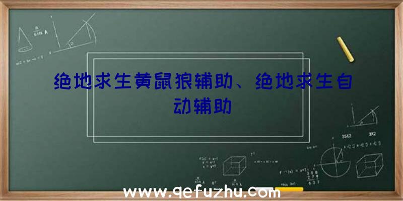 绝地求生黄鼠狼辅助、绝地求生自动辅助