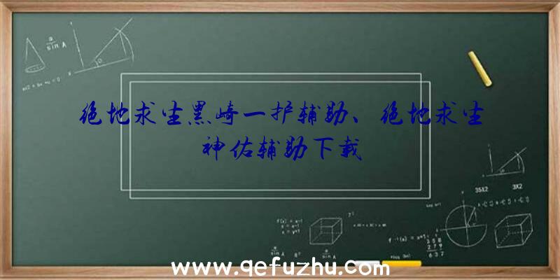 绝地求生黑崎一护辅助、绝地求生神佑辅助下载