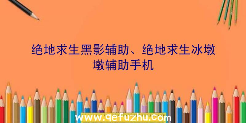 绝地求生黑影辅助、绝地求生冰墩墩辅助手机