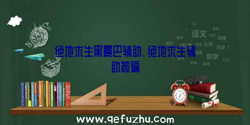 绝地求生黑曼巴辅助、绝地求生辅助被骗