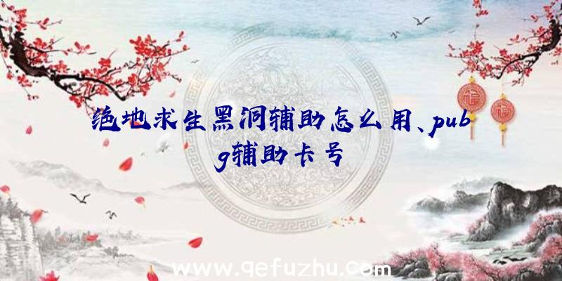 绝地求生黑洞辅助怎么用、pubg辅助卡号