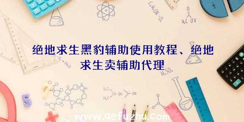 绝地求生黑豹辅助使用教程、绝地求生卖辅助代理