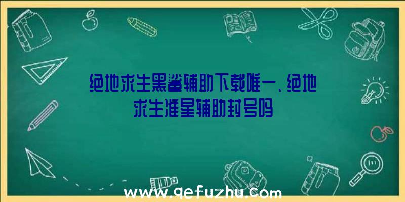 绝地求生黑鲨辅助下载唯一、绝地求生准星辅助封号吗