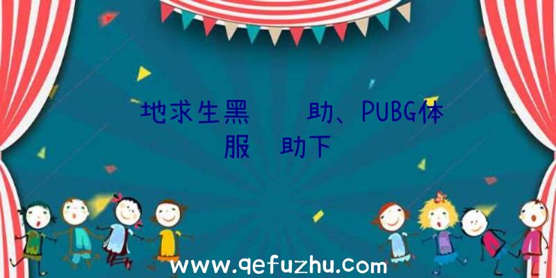 绝地求生黑鹰辅助、PUBG体验服辅助下载