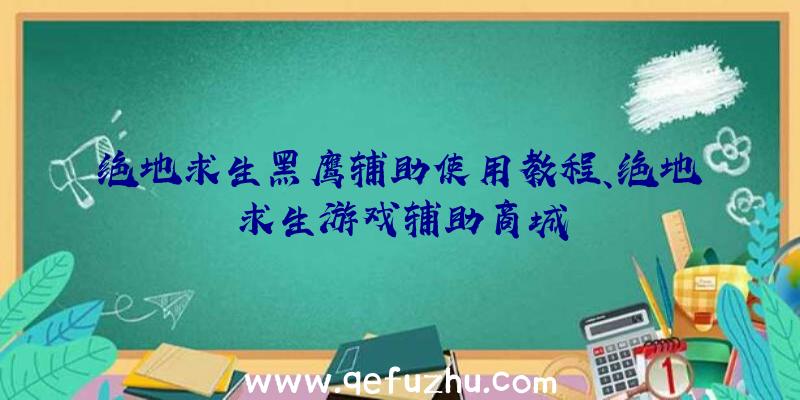 绝地求生黑鹰辅助使用教程、绝地求生游戏辅助商城