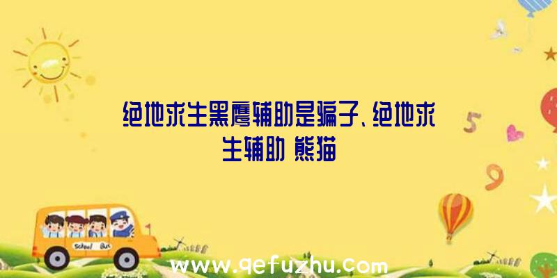 绝地求生黑鹰辅助是骗子、绝地求生辅助