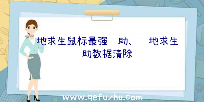 绝地求生鼠标最强辅助、绝地求生辅助数据清除