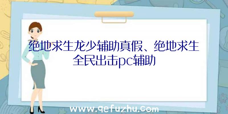 绝地求生龙少辅助真假、绝地求生全民出击pc辅助