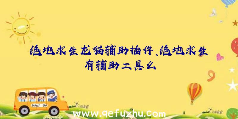 绝地求生龙猫辅助插件、绝地求生有辅助工具么