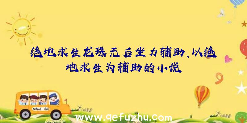 绝地求生龙珠无后坐力辅助、以绝地求生为辅助的小说