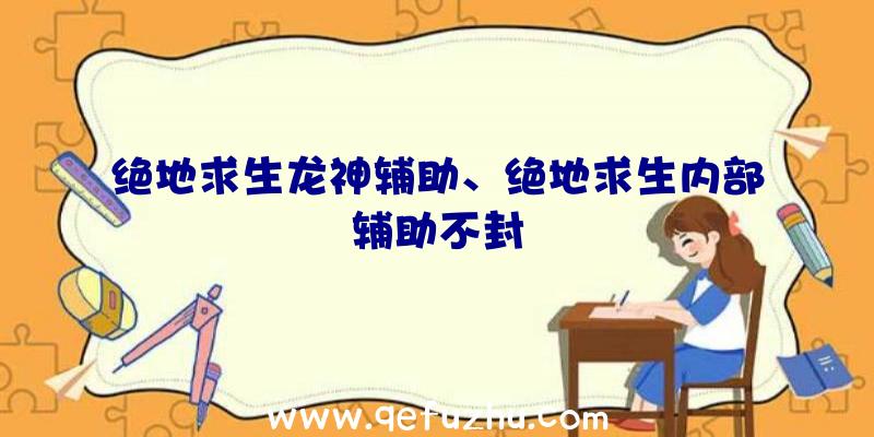 绝地求生龙神辅助、绝地求生内部辅助不封