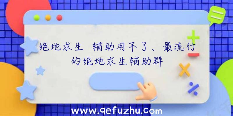 绝地求生++辅助用不了、最流行的绝地求生辅助群