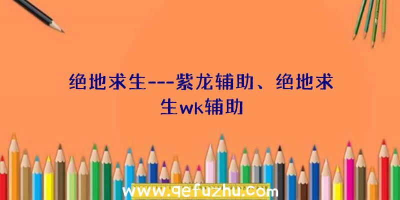 绝地求生---紫龙辅助、绝地求生wk辅助