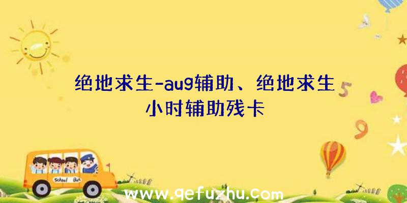 绝地求生-aug辅助、绝地求生小时辅助残卡