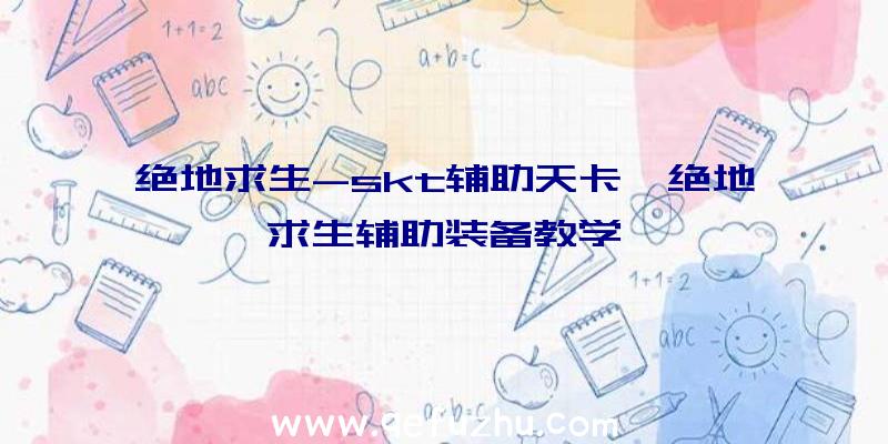 绝地求生-skt辅助天卡、绝地求生辅助装备教学