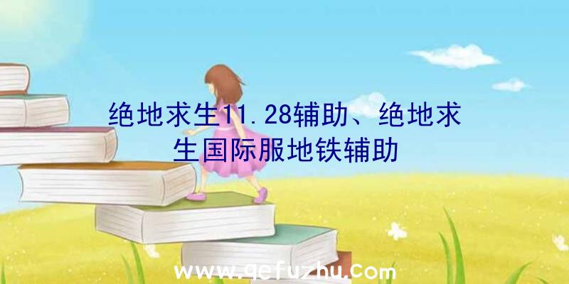 绝地求生11.28辅助、绝地求生国际服地铁辅助