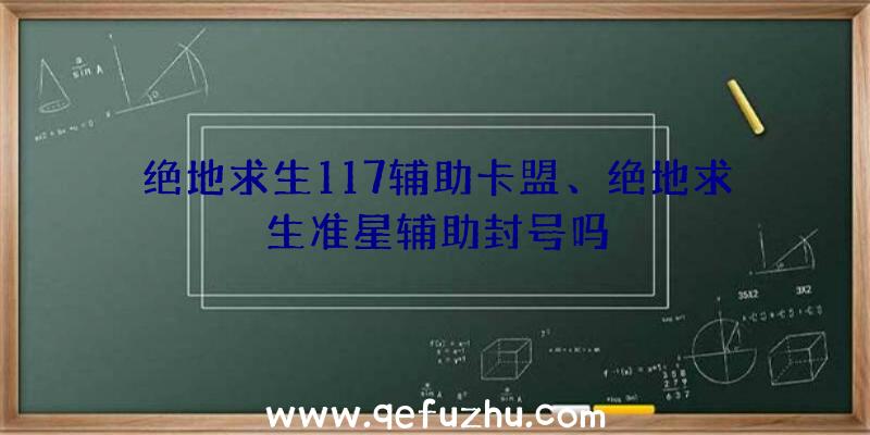 绝地求生117辅助卡盟、绝地求生准星辅助封号吗