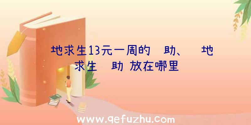 绝地求生13元一周的辅助、绝地求生辅助