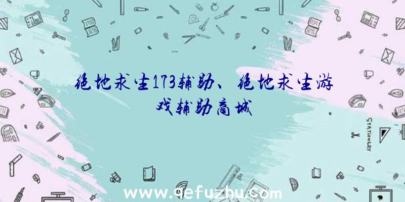 绝地求生173辅助、绝地求生游戏辅助商城