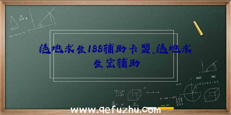 绝地求生188辅助卡盟、绝地求生宏辅助