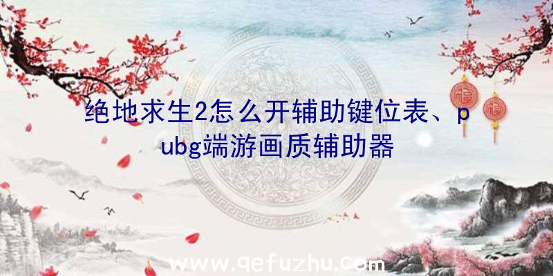 绝地求生2怎么开辅助键位表、pubg端游画质辅助器