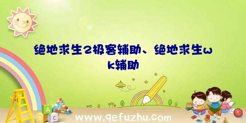 绝地求生2极客辅助、绝地求生wk辅助