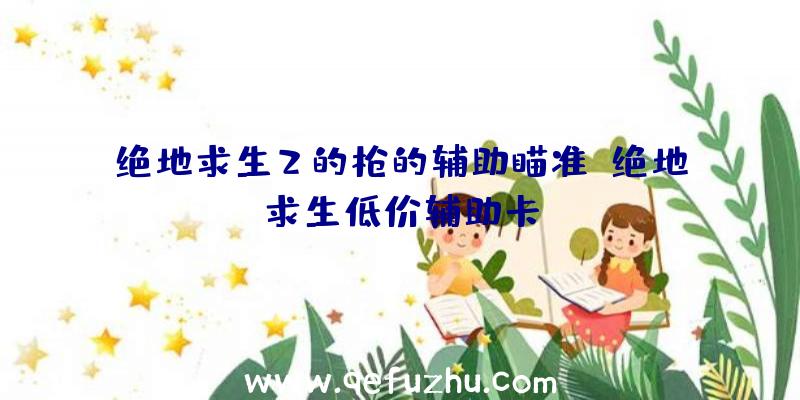 绝地求生2的枪的辅助瞄准、绝地求生低价辅助卡