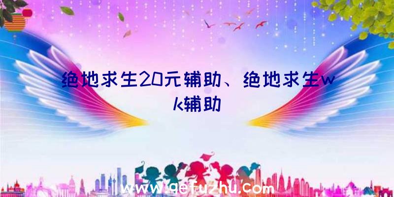 绝地求生20元辅助、绝地求生wk辅助