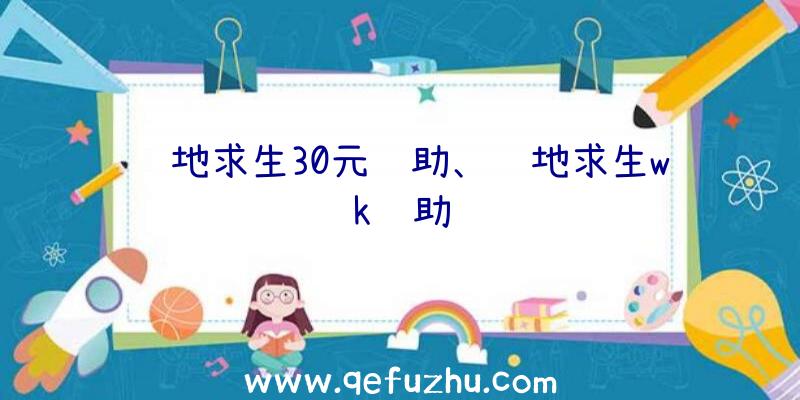 绝地求生30元辅助、绝地求生wk辅助